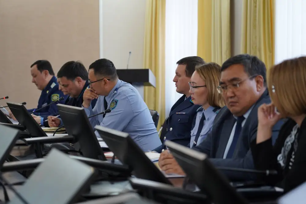 Меры профилактики семейно-бытового насилия обсудили в Акмолинской области (4)
