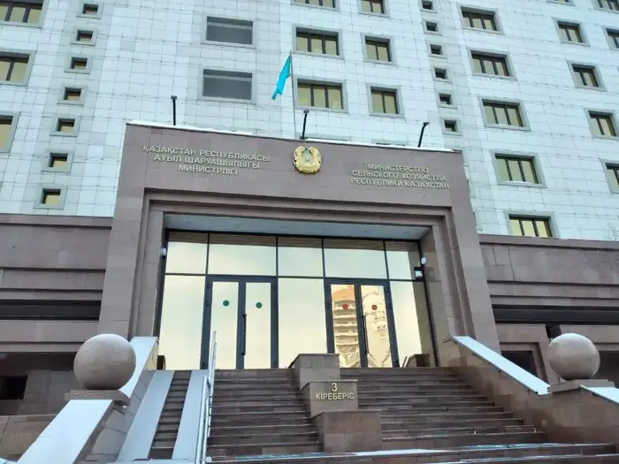 Квоты на ввоз говядины в Казахстан Астане