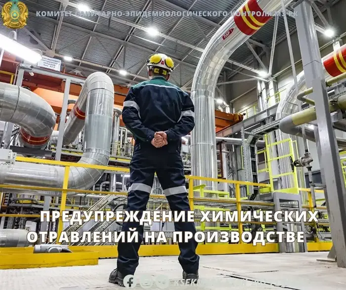 Опасные химические отравления: угроза здоровью работников и необходимость профилактических мер Астане