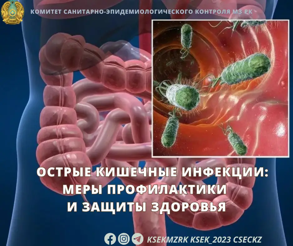 Растущая угроза острых кишечных инфекций: как соблюдение гигиены может спасти здоровье Астане