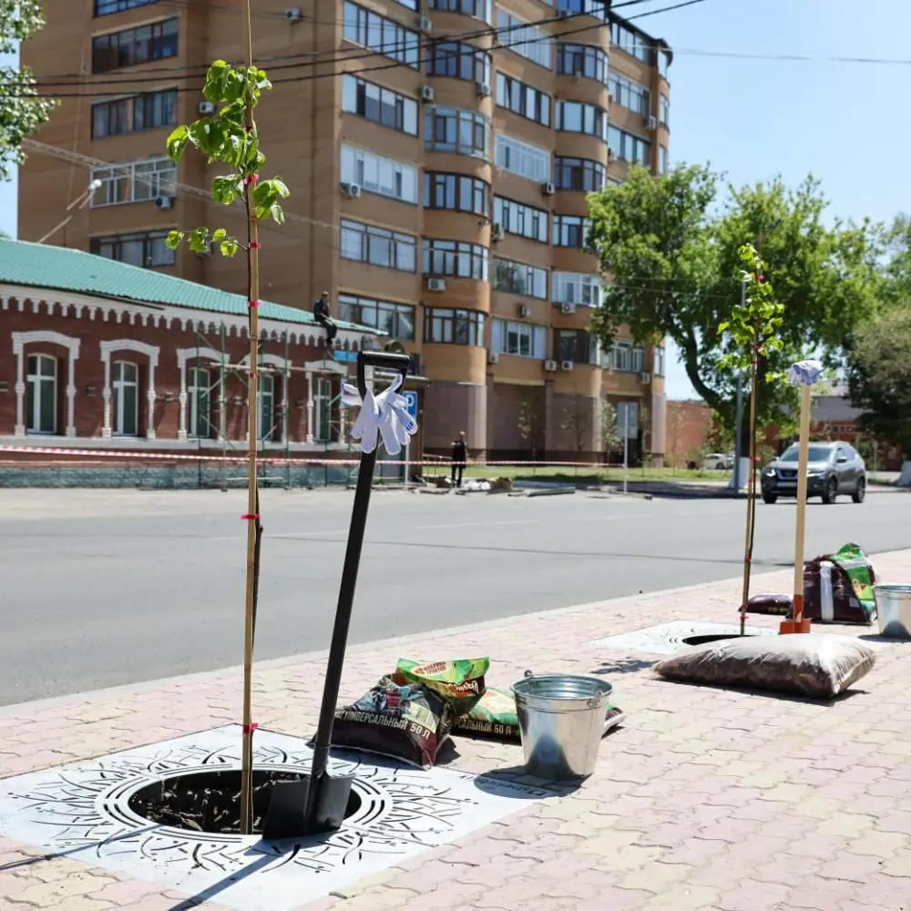 Озеленение Павлодара высадка деревьев благоустройство городской инфраструктуры Астане