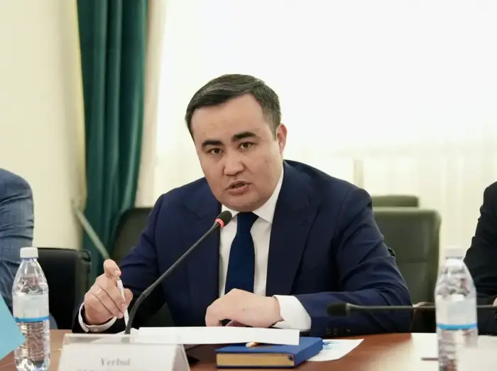 В Астане Ербол Туякбаев и Спецдокладчик ООН Сурья Дева обсуждают цифровую трансформацию и социальные права граждан Астане