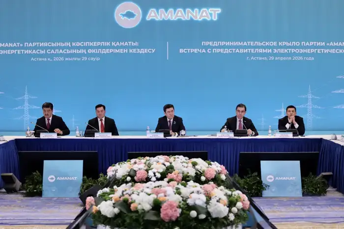 АМАNAT и бизнес объединили усилия по развитию энергетики (4)