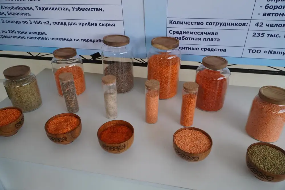 Айдарбек Сапаров ознакомился с ходом посевной кампании в Акмолинской области (8)