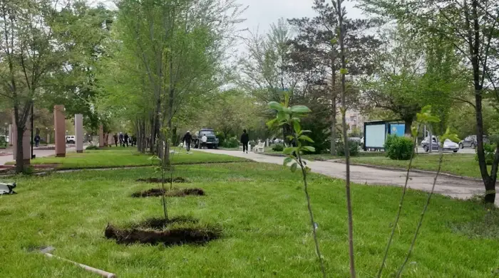 В Актюбинской области в преддверии Дня Победы высадили 4000 деревьев (2)