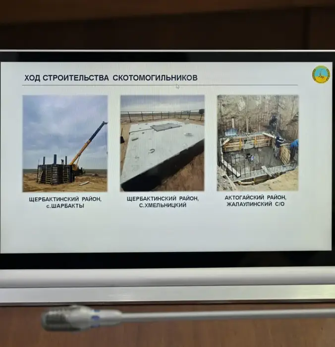 В акимате области рассмотрели вопросы организации летнего отдыха, оздоровления и занятости детей, а также обеспечения ветеринарной безопасности региона (10)