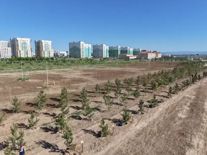 В ТУРКЕСТАНЕ В РАМКАХ ПРОГРАММЫ «ТАЗА ҚАЗАҚСТАН» ПРОШЛА АКЦИЯ ПО ПОСАДКЕ ДЕРЕВЬЕВ С УЧАСТИЕМ ВЕРХОВНОГО МУФТИЯ И АКИМА ОБЛАСТИ (5)