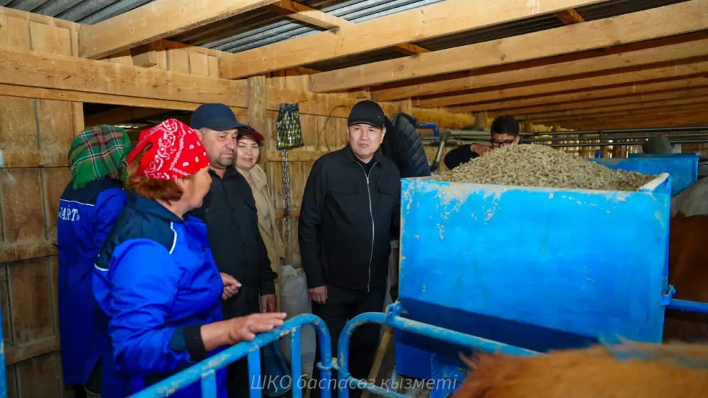 Симментальские коровы: секреты молока от «Кайрат» Астане