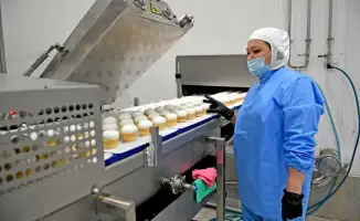 Выход Казахстана на рынок мороженого как нетто-экспортера: новые возможности для экономики страны
