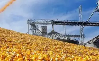 Строительство завода по глубокой переработке кукурузы в Туркестанской области