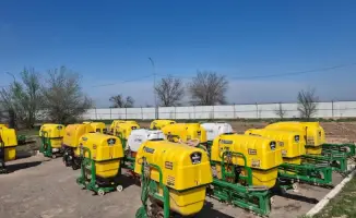 В Туркестанской области продолжается «битва с крылатым врагом»: борьба с саранчой на фоне масштабных мер контроля