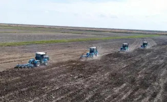 В Казахстане завершена посевная на площади 14,5 млн га сельхозкультур