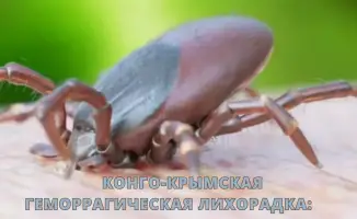 Последствия Конго-Крымской геморрагической лихорадки: угроза для здоровья и экономики