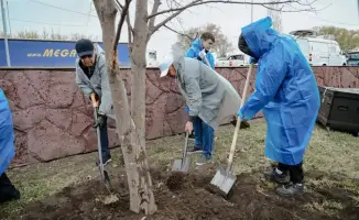 Граждане объединяются для улучшения экологии: высажено более 70 тысяч деревьев в рамках акции «Таза Қазақстан»