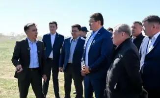 Абайская область готовится к борьбе с саранчой