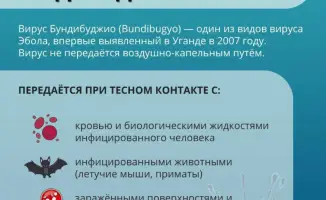 Эбола: необходимость соблюдения мер предосторожности для обеспечения общественного здоровья при поездках за границу