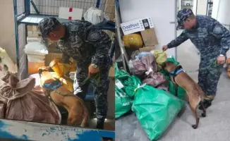 Участие служебных собак в рейдах подчеркивает усилия полиции по борьбе с наркопреступностью в области Абай