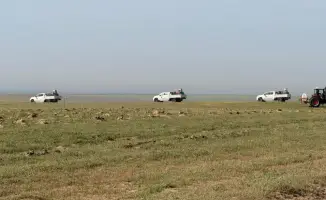 275 тысяч гектаров под защитой от саранчи!