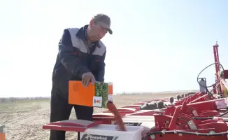 В области Жетісу завершена посадка сахарной свеклы