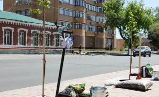 Озеленение Павлодара высадка деревьев благоустройство городской инфраструктуры