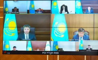 Рост посевных площадей в Восточно-Казахстанской области: 630 тысяч гектаров в 2026 году