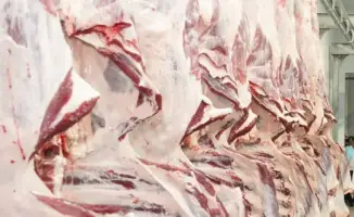 Рост производства мяса в Жетісу: социальные и экономические перспективы региона