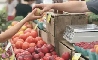 Контроль цен на социально значимые товары в Казахстане