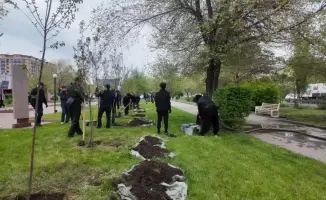 4000 деревьев высадили в Актюбинской области