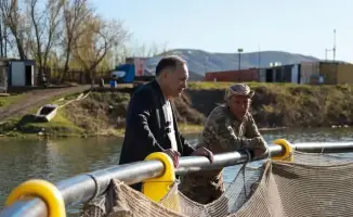 Алтайская форель: жемчужина ВКО в акватории экономического роста