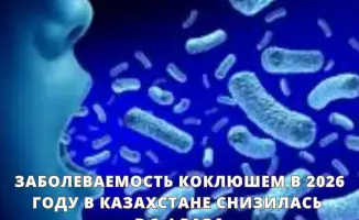 Снижение заболеваемости коклюшем в Казахстане в 2026 году: результаты вакцинации и профилактических мер