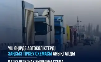 Грузовики под прикрытием: кто за ними стоит?