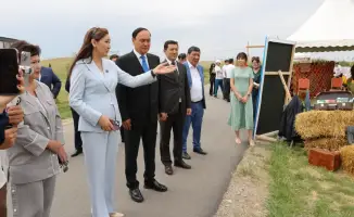 Празднование Дня работников культуры и искусства в Жамбылской области: значение для общества и признание талантов
