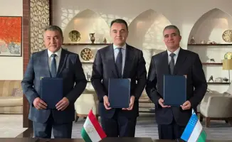 Три страны, одно водохранилище: лето 2026 ждёт!