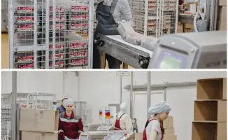 Челябинск и СКО: новые экономические горизонты
