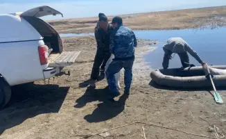 Задержание браконьера: международные последствия незаконного лова рыбы