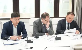 Зеленые проблемы Алматы: кто ответит за экопреступления?