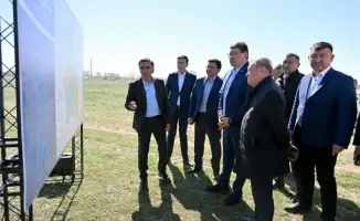 Системные меры по борьбе с саранчой в Абайской области: защита фермеров и стабилизация агросектора