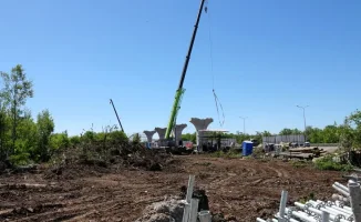 На стройке LRT в Косшы: деревья упали, что дальше?