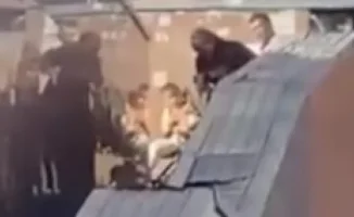 В Астане мужчина избил супругу на глазах у прохожих: уголовное дело против дебошира