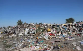 В Казахстане планируют ужесточить ответственность за экологический ущерб и улучшить ликвидацию стихийных свалок